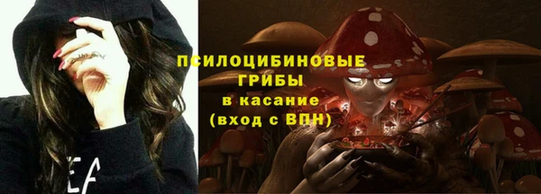 2c-b Абинск