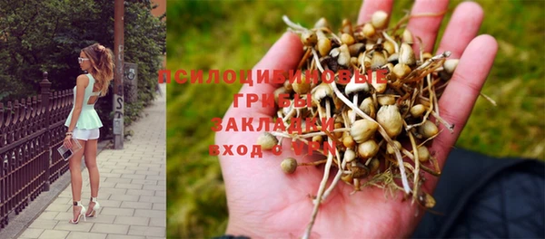 гидра Абдулино
