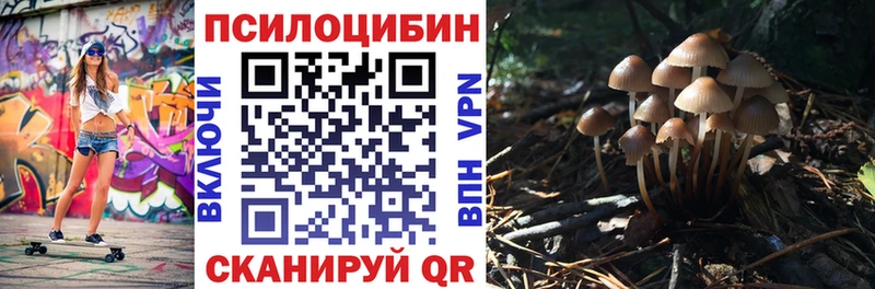 Галлюциногенные грибы GOLDEN TEACHER  Котлас 